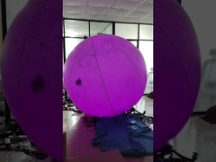 맞춤형 펌플 달 장식